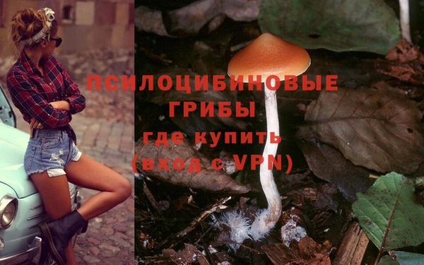ешки Майский