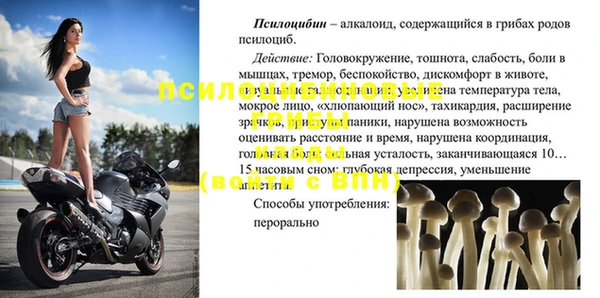 ГАЛЛЮЦИНОГЕННЫЕ ГРИБЫ Магадан