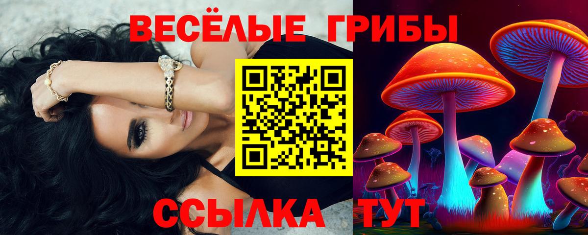 Галлюциногенные грибы мухоморы Томск