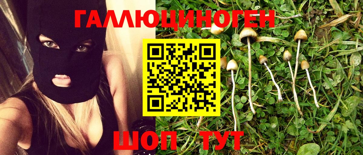 Псилоцибиновые грибы GOLDEN TEACHER  Вход с VPN  Томск 